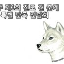 2015년 제1회 완주 진도견 전람회 이미지