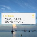 팀웨일 | 모리셔스 신혼여행 허니문리조트 엑티비티 돌핌스윔 웨일와칭 내돈내산 솔직후기