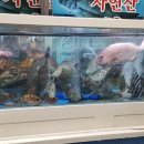 개도막썰어횟집 네이버블로그