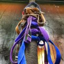 동춘초등학교 이미지