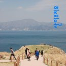 바람의언덕 이미지