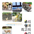 정방기획 이미지