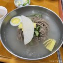 옥천느티나무막국수