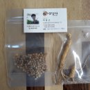 목화인삼