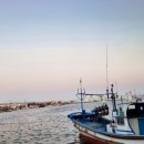 수산물직판장(3호) 이미지