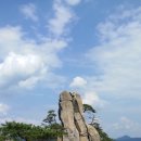 백호로 이미지