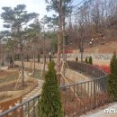 낙성대 숲속공원