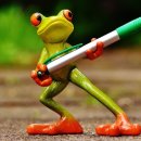 청개구리 이미지