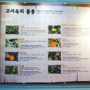 감귤박물관 위 이미지