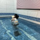 빈체로온수풀빌라 | 가평 펜션 빈체로 온수풀빌라에서 즐긴 프라이빗 겨울여행 후기