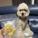 까까멍펫푸드 이미지