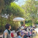 숲속계곡 이미지