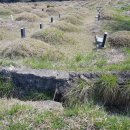 국민장례협동조합(장례묘지이장) 이미지