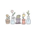 프사오도담 이미지