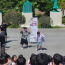 완도초등학교 이미지