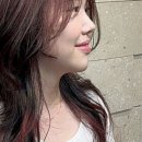 염색전문클럽 - 양산시 | 염색전문클럽