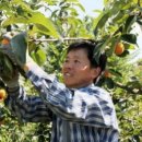 시목농장 이미지