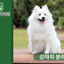 클로버동물병원 이미지