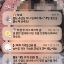 왕초보영어회화 | 왕초보 영어회화 독학 - 내돈내산 스픽 할인코드 및 후기
