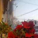 조이헤어 이미지