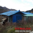 호동로 이미지