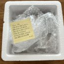 카페트라슈 이미지