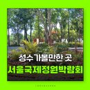 서울국제정원박람회 서울숲 서울놀거리 성수 가볼만한 곳