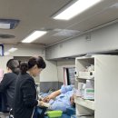함안-4 서울일보