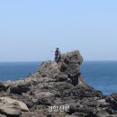 제주섬마리 이미지