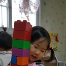 해달별어린이집 이미지