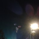 커피안녕 이미지