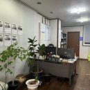 119플러스공인중개사사무소 이미지