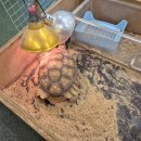 해피주 수원점 이미지