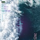 동일수선 이미지