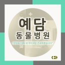 예담동물병원 이미지