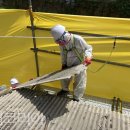 대상(주)건강사업본부 이미지