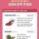 피피에이치 네이버블로그
