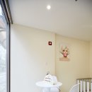 마릴린펫 이미지