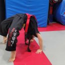 선호 합기도 이미지