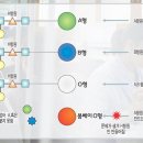 전세계에서 희귀한 혈액형들 이미지