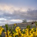 봄을담아 이미지