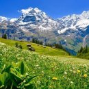 산들샬레 이미지