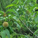 서산한성필공인중개사사무소 이미지