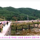 꽃천지 휴게소