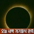 달 Daum카페