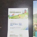 알펜시아스포츠파크 이미지