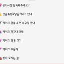 투마이위시 이미지