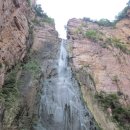 유림초교 이미지