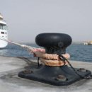 삼진오토 이미지