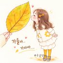 제 208차 한길산악회산행 이미지